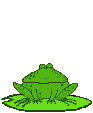 Frosch